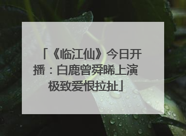 《临江仙》今日开播：白鹿曾舜晞上演极致爱恨拉扯