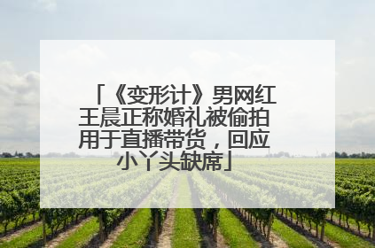 《变形计》男网红王晨正称婚礼被偷拍用于直播带货，回应小丫头缺席