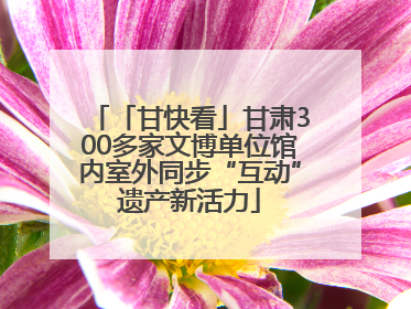 「甘快看」甘肃300多家文博单位馆内室外同步“互动”遗产新活力