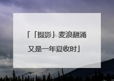 「摄影」麦浪翻涌 又是一年夏收时