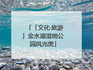 「文化·旅游」金水湖湿地公园风光美