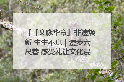 「文脉华章」非遗焕新 生生不息｜漫步六尺巷 感受礼让文化浸润的“巷”往生活
