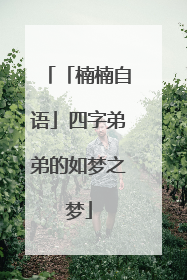 「楠楠自语」四字弟弟的如梦之梦