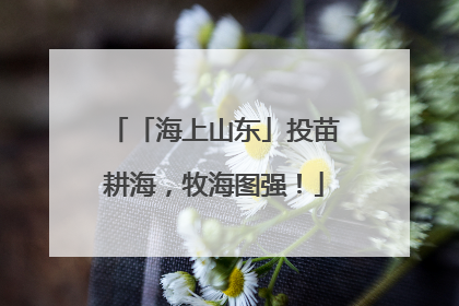 「海上山东」投苗耕海，牧海图强！