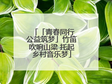 「青春同行 公益筑梦」竹笛吹响山梁 托起乡村音乐梦