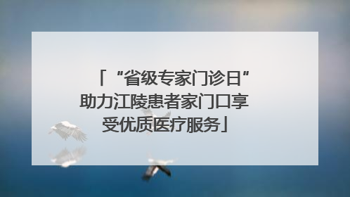 “省级专家门诊日”助力江陵患者家门口享受优质医疗服务