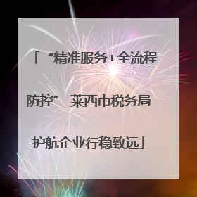 “精准服务+全流程防控” 莱西市税务局护航企业行稳致远