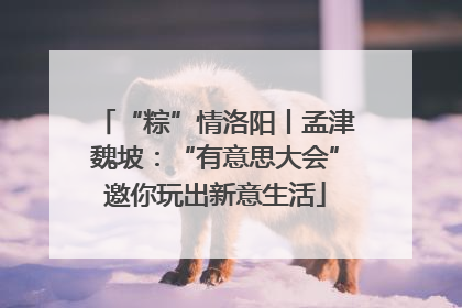 “粽”情洛阳丨孟津魏坡：“有意思大会”邀你玩出新意生活