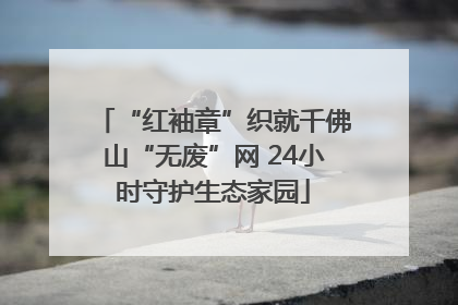 “红袖章”织就千佛山“无废”网 24小时守护生态家园