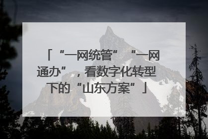 “一网统管”“一网通办”，看数字化转型下的“山东方案”