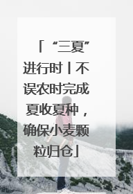 “三夏”进行时丨不误农时完成夏收夏种，确保小麦颗粒归仓