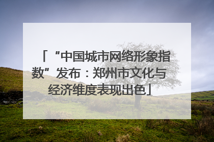 “中国城市网络形象指数”发布：郑州市文化与经济维度表现出色