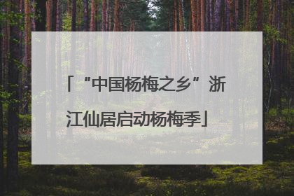 “中国杨梅之乡”浙江仙居启动杨梅季