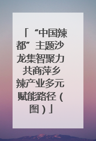 “中国辣都”主题沙龙集智聚力 共商萍乡辣产业多元赋能路径（图）