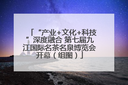 “产业+文化+科技”深度融合 第七届九江国际名茶名泉博览会开幕（组图）