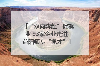 “双向奔赴”促就业 93家企业走进益阳师专“揽才”