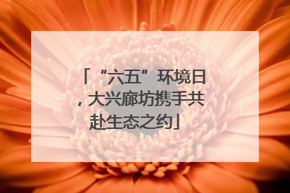“六五”环境日，大兴廊坊携手共赴生态之约