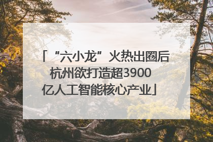 “六小龙”火热出圈后 杭州欲打造超3900亿人工智能核心产业