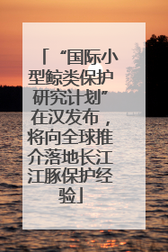 “国际小型鲸类保护研究计划”在汉发布，将向全球推介落地长江江豚保护经验