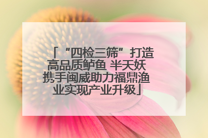 “四检三筛”打造高品质鲈鱼 半天妖携手闽威助力福鼎渔业实现产业升级