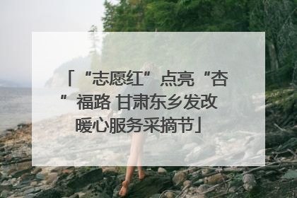 “志愿红”点亮“杏”福路 甘肃东乡发改暖心服务采摘节