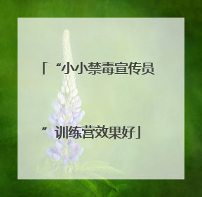 “小小禁毒宣传员”训练营效果好