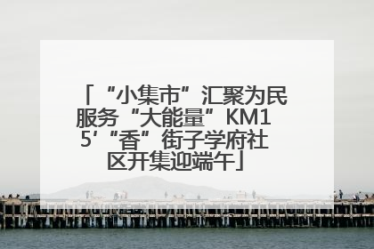 “小集市”汇聚为民服务“大能量”KM15′“香”街子学府社区开集迎端午