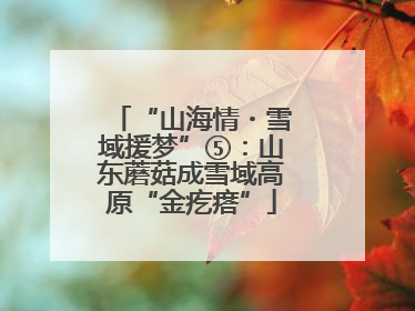 “山海情・雪域援梦”⑤：山东蘑菇成雪域高原“金疙瘩”