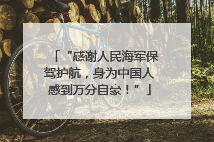 “感谢人民海军保驾护航，身为中国人感到万分自豪！”