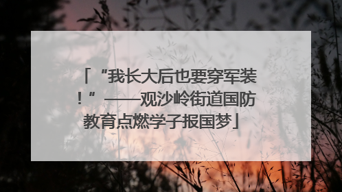 “我长大后也要穿军装！”——观沙岭街道国防教育点燃学子报国梦