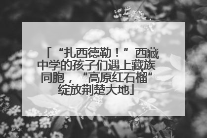 “扎西德勒！”西藏中学的孩子们遇上藏族同胞，“高原红石榴”绽放荆楚大地