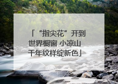 “指尖花”开到世界橱窗 小凉山千年纹样绽新色
