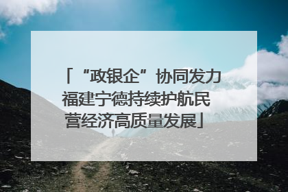 “政银企”协同发力 福建宁德持续护航民营经济高质量发展