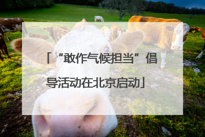 “敢作气候担当”倡导活动在北京启动