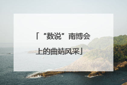 “数说”南博会上的曲靖风采
