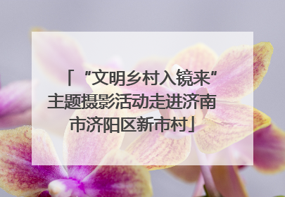 “文明乡村入镜来”主题摄影活动走进济南市济阳区新市村