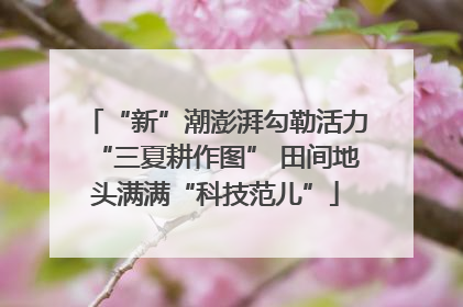 “新”潮澎湃勾勒活力“三夏耕作图” 田间地头满满“科技范儿”