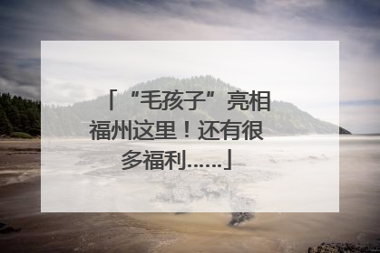 “毛孩子”亮相福州这里！还有很多福利……