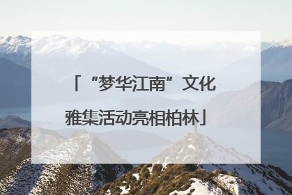 “梦华江南”文化雅集活动亮相柏林