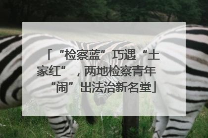 “检察蓝”巧遇“土家红”，两地检察青年“闹”出法治新名堂