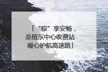 “棕”享安畅，桑植东中心收费站暖心护航高速路
