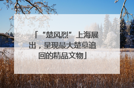 “楚风烈”上海展出，呈现最大楚墓追回的精品文物