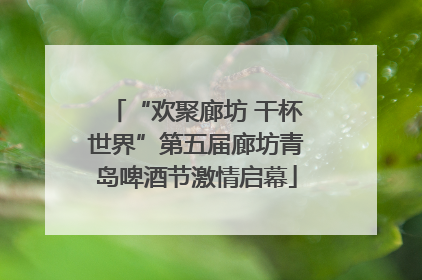 “欢聚廊坊 干杯世界”第五届廊坊青岛啤酒节激情启幕