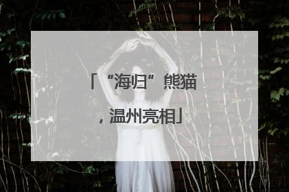 “海归”熊猫，温州亮相