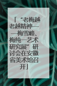 “老梅越老越精神——梅雪峰、梅纯一艺术研究展”研讨会在安徽省美术馆召开