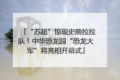 “苏超”惊现史前拉拉队！中华恐龙园“恐龙大军”将亮相开幕式