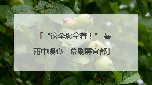 “这伞您拿着！” 暴雨中暖心一幕刷屏宜都