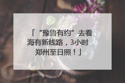 “豫鲁有约”去看海有新线路，3小时郑州至日照！