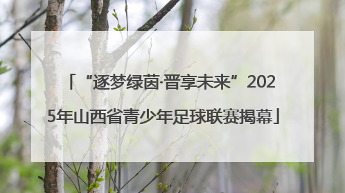 “逐梦绿茵·晋享未来”2025年山西省青少年足球联赛揭幕