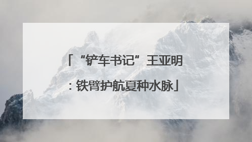 “铲车书记”王亚明：铁臂护航夏种水脉